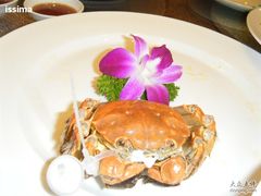 -悦隆酒店-中餐厅