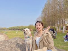 -滨湖塘西河公园