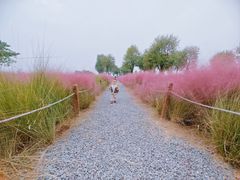 -汉长安城未央宫国家考古遗址公园