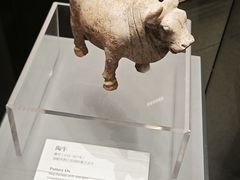 -杏花村水席楼·洛阳水席(老城十字街店)