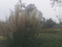 -成飞公园
