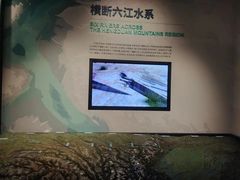 -四川大学博物馆