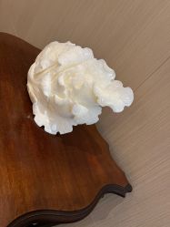 -铂诗玥医美
