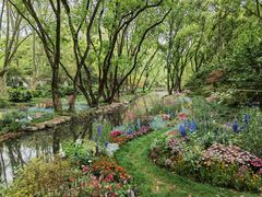 -上海共青森林公园