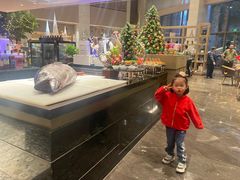 -博林天瑞喜来登酒店·西丽尚膳