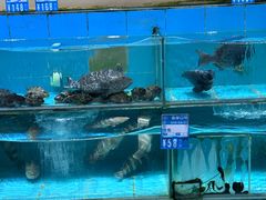 -强记海鲜·大排档(蛇口新街店)