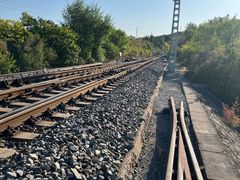 -白水寺森林公园