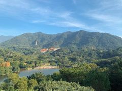 -深圳仙湖植物园