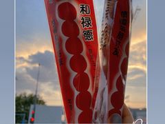 -和禄德冰糖葫芦