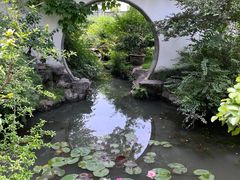 -上海醉白池公园