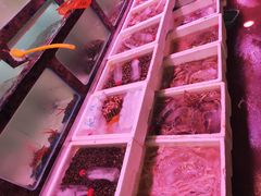-长平肥姐白粥·海鲜打冷