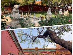 -故宫博物院(故宫)