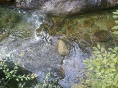 -祁门牯牛降观音堂风景区