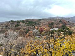 -妙峰山风景名胜区