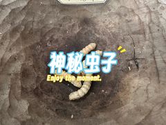 -太平天国侍王府