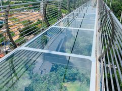 -客天下恐龙水晶玻璃桥