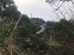-金鸡山公园