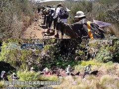 -乞力马扎罗山