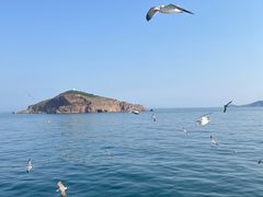 -海驴岛(荣成市)