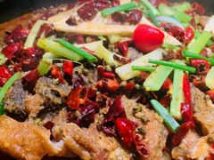 老板恋上鱼-老板恋上鱼(高新万达店)