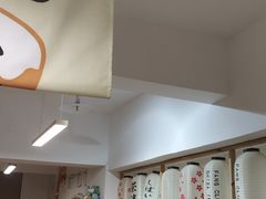 -柴迷FANS CLUB·柴犬狗咖·猫咖