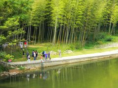 -楠溪江石桅岩