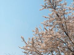 -淹城春秋乐园
