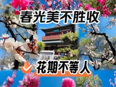 -迎泽公园