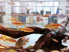 -弓舍射箭俱乐部(高新总店)