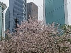 -西北湖绿化广场