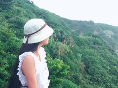-枸杞岛