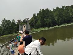 -东湖落雁景区