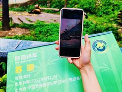 -中国大熊猫保护研究中心雅安碧峰峡基地