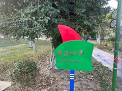 -宁波儿童公园(鄞州区)