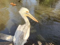 -济南野生动物世界