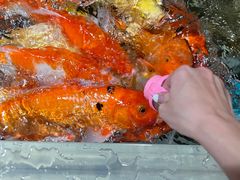 -正佳极地海洋世界