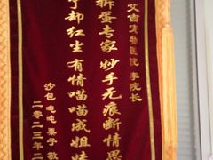 -艾吉宠物医院·疑难杂症转诊中心·猫友好(碧江路院)