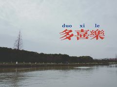 -高东镇樱花园