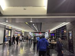 -达拉斯 沃斯堡国际机场