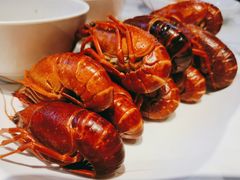 清蒸蘸水虾-霸王虾·麻辣小龙虾(清水河公园店)