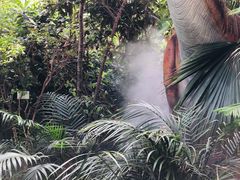 -呀路古热带植物园-恐龙馆