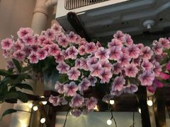 -老东风菜馆·潮汕大排档