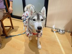 -七的湖·江南蟹舫·阳澄湖农家菜(蟹舫苑店)