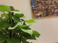 -MusicLife音乐(浦东校区)