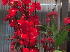 -鑫小城故事·藕汤·家常菜(台北一路总店)