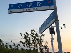 -南汇嘴观海公园