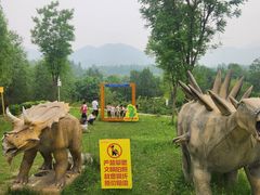 -西部长青自然儿童乐园