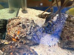 -太平洋海底世界