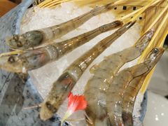 -快乐小羊火锅(河西王府井店)