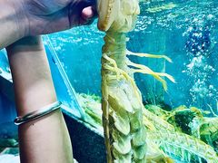 -欧记·龙城港(欣都店)